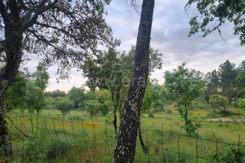 Terra a Celorico da Beira, Guarda, Celorico da Beira - € 25.000 | Ref: 046250056 - foto 3