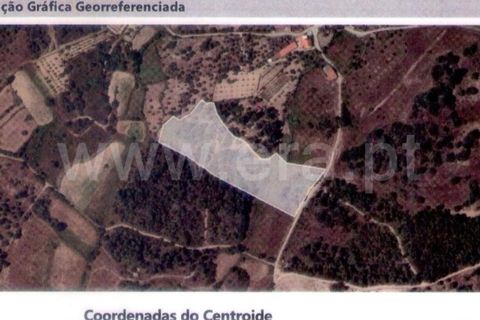 Terra a Celorico da Beira, Guarda, Celorico da Beira - € 25.000 | Ref: 046250056 - foto 4