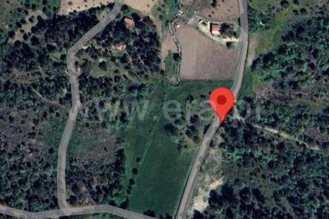 Terra a Celorico da Beira, Guarda, Celorico da Beira - € 25.000 | Ref: 046250056 - foto 5