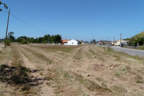 Terra a Quiaios, Coimbra, Quiaios - € 50.000 | Ref: ADF_24 - foto 2
