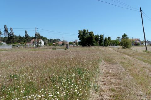 Terra a Quiaios, Coimbra, Quiaios - € 50.000 | Ref: ADF_24 - foto 3