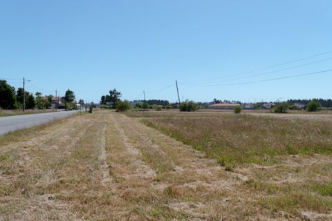 Terra a Quiaios, Coimbra, Quiaios - € 50.000 | Ref: ADF_24 - foto 7