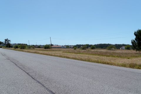 Terra a Quiaios, Coimbra, Quiaios - € 50.000 | Ref: ADF_24 - foto 10