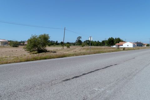 Terra a Quiaios, Coimbra, Quiaios - € 50.000 | Ref: ADF_24 - foto 11