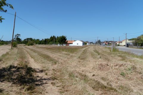 Terra a Quiaios, Coimbra, Quiaios - € 50.000 | Ref: ADF_24 - foto 12