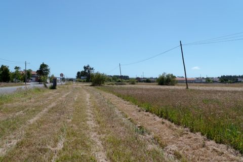 Helårsgrund i Quiaios, Coimbra, Quiaios - € 45.000 | Ref: ADF_25 - foto 8