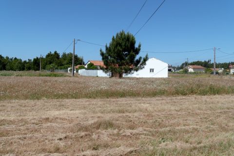 Helårsgrund i Quiaios, Coimbra, Quiaios - € 45.000 | Ref: ADF_25 - foto 9