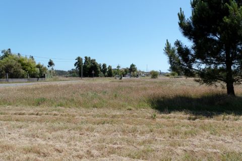 Helårsgrund i Quiaios, Coimbra, Quiaios - € 45.000 | Ref: ADF_25 - foto 12
