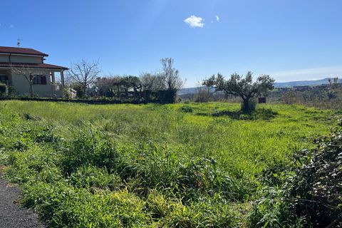 Terra a Pollutri, Chieti, Pollutri - € 30.000 | Ref: 5332 - foto 5