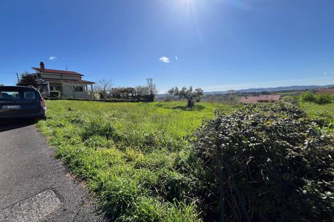 Terra a Pollutri, Chieti, Pollutri - € 30.000 | Ref: 5332 - foto 6
