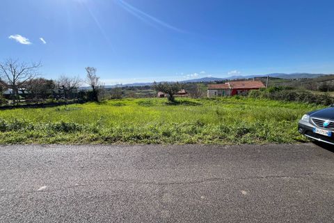 Terra a Pollutri, Chieti, Pollutri - € 30.000 | Ref: 5332 - foto 7
