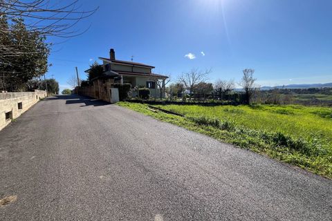 Terra a Pollutri, Chieti, Pollutri - € 30.000 | Ref: 5332 - foto 8