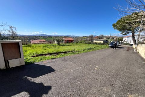 Terra a Pollutri, Chieti, Pollutri - € 30.000 | Ref: 5332 - foto 9