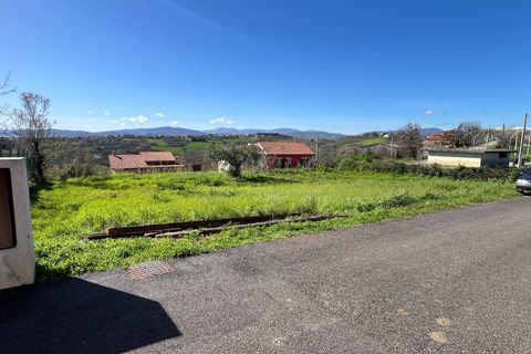 Terra a Pollutri, Chieti, Pollutri - € 30.000 | Ref: 5332 - foto 10