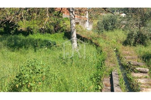 Byhus i Penela, Coimbra, Penela - € 68.000 | Ref: JR176/25 - foto 13
