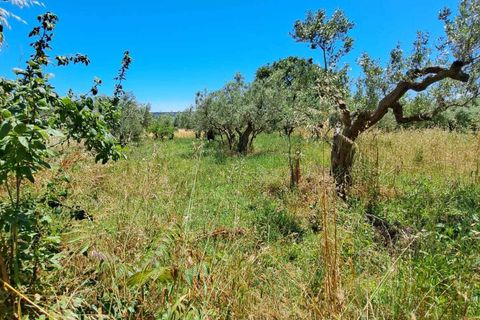 Villa a Fossacesia, Chieti, Fossacesia - € 95.000 | Ref: VC1152 - foto 8