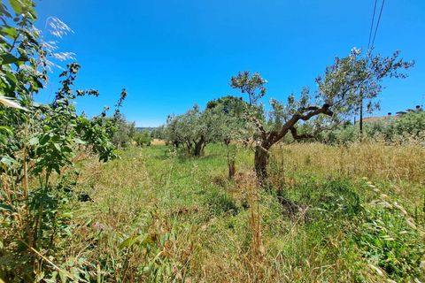Villa a Fossacesia, Chieti, Fossacesia - € 95.000 | Ref: VC1152 - foto 10