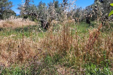 Villa a Fossacesia, Chieti, Fossacesia - € 95.000 | Ref: VC1152 - foto 15