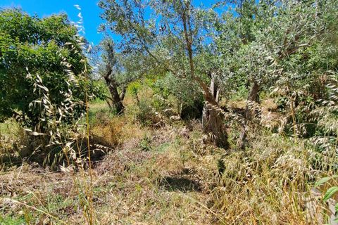 Villa a Fossacesia, Chieti, Fossacesia - € 95.000 | Ref: VC1152 - foto 16