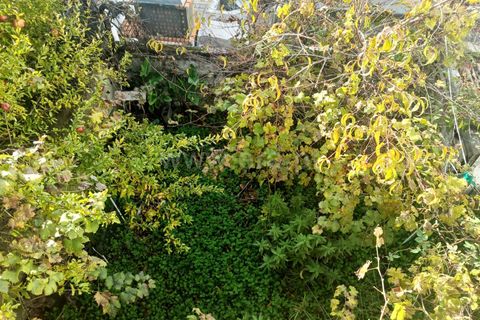 Villa i Alter do Chao, Portalegre, Alter do Chao - € 87.500 | Ref: 102240197 - foto 15