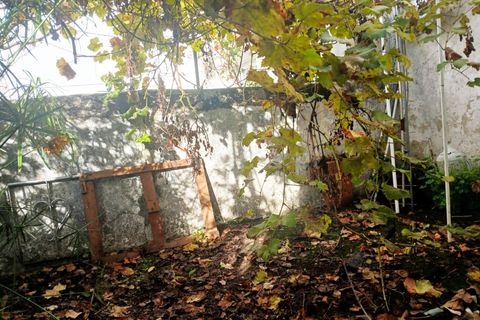 Villa i Alter do Chao, Portalegre, Alter do Chao - € 87.500 | Ref: 102240197 - foto 16