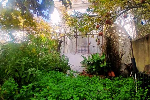 Villa i Alter do Chao, Portalegre, Alter do Chao - € 87.500 | Ref: 102240197 - foto 17