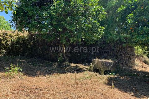 Landejendom i Proenca-a-Nova, Castelo Branco, Proenca-a-Nova - € 72.500 | Ref: 102250104 - foto 1