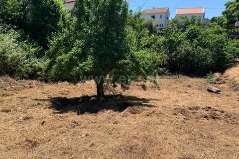Landejendom i Proenca-a-Nova, Castelo Branco, Proenca-a-Nova - € 72.500 | Ref: 102250104 - foto 2