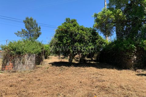 Landejendom i Proenca-a-Nova, Castelo Branco, Proenca-a-Nova - € 72.500 | Ref: 102250104 - foto 3
