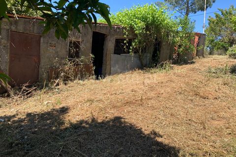 Landejendom i Proenca-a-Nova, Castelo Branco, Proenca-a-Nova - € 72.500 | Ref: 102250104 - foto 4