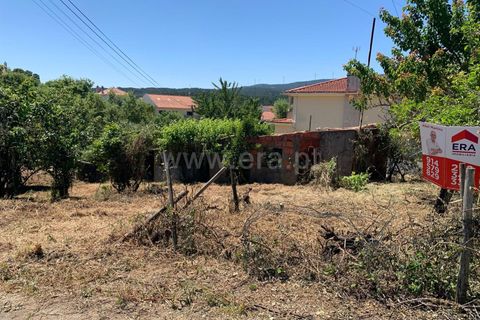 Landejendom i Proenca-a-Nova, Castelo Branco, Proenca-a-Nova - € 72.500 | Ref: 102250104 - foto 5