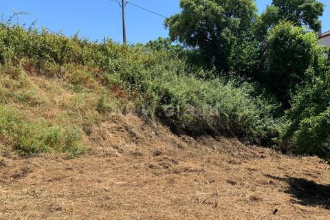 Landejendom i Proenca-a-Nova, Castelo Branco, Proenca-a-Nova - € 72.500 | Ref: 102250104 - foto 7