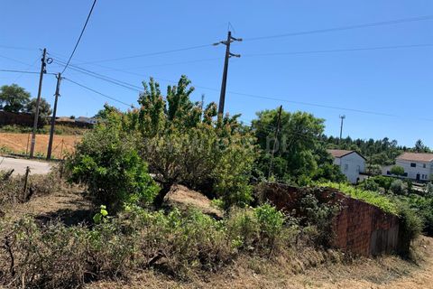 Landejendom i Proenca-a-Nova, Castelo Branco, Proenca-a-Nova - € 72.500 | Ref: 102250104 - foto 8