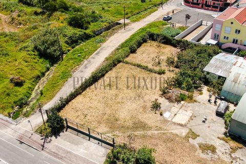 Helårsgrund i Alcabideche, Lisbon, Alcabideche - € 1.000.000 | Ref: NR8792 - foto 4