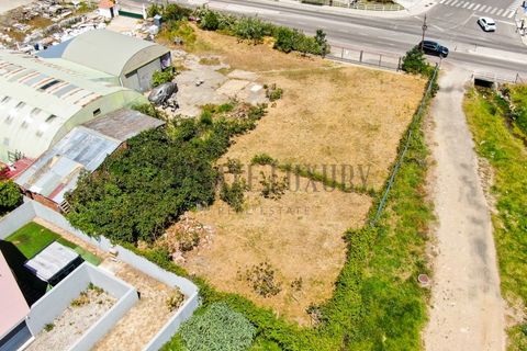 Helårsgrund i Alcabideche, Lisbon, Alcabideche - € 1.000.000 | Ref: NR8792 - foto 5