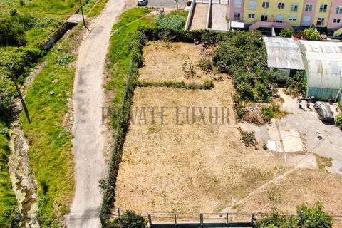 Helårsgrund i Alcabideche, Lisbon, Alcabideche - € 1.000.000 | Ref: NR8792 - foto 6