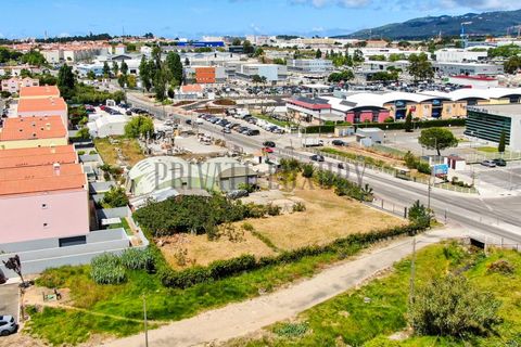 Helårsgrund i Alcabideche, Lisbon, Alcabideche - € 1.000.000 | Ref: NR8792 - foto 13