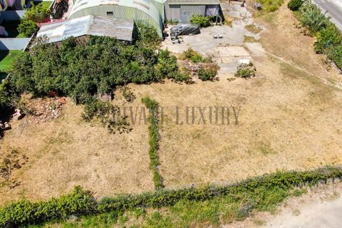 Helårsgrund i Alcabideche, Lisbon, Alcabideche - € 1.000.000 | Ref: NR8792 - foto 14