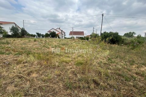 Helårsgrund i Tomar, Santarem, Tomar - € 45.000 | Ref: 01550-25 - foto 2