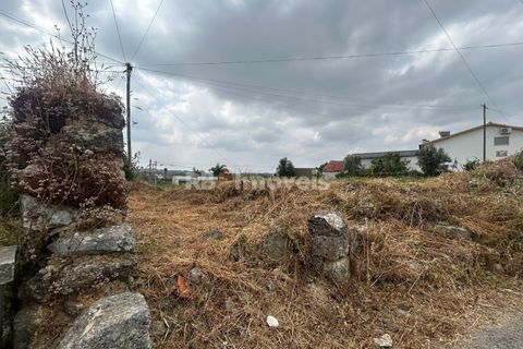 Helårsgrund i Tomar, Santarem, Tomar - € 45.000 | Ref: 01550-25 - foto 7