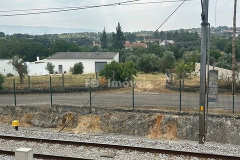 Helårsgrund i Tomar, Santarem, Tomar - € 45.000 | Ref: 01550-25 - foto 8