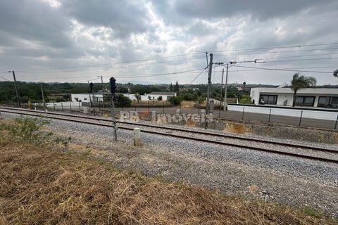 Helårsgrund i Tomar, Santarem, Tomar - € 45.000 | Ref: 01550-25 - foto 9