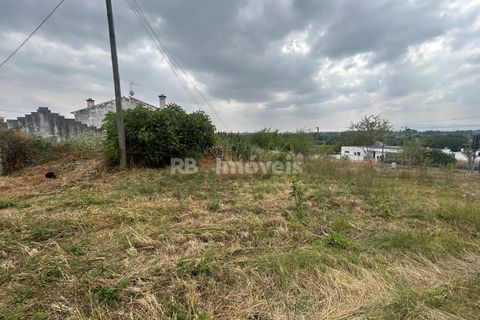 Helårsgrund i Tomar, Santarem, Tomar - € 45.000 | Ref: 01550-25 - foto 10