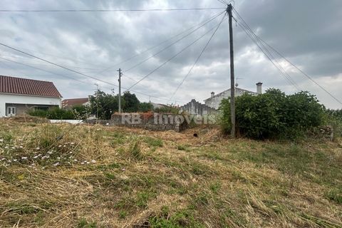 Helårsgrund i Tomar, Santarem, Tomar - € 45.000 | Ref: 01550-25 - foto 6
