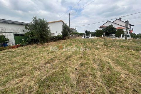 Helårsgrund i Tomar, Santarem, Tomar - € 45.000 | Ref: 01550-25 - foto 4