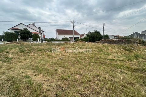 Helårsgrund i Tomar, Santarem, Tomar - € 45.000 | Ref: 01550-25 - foto 11