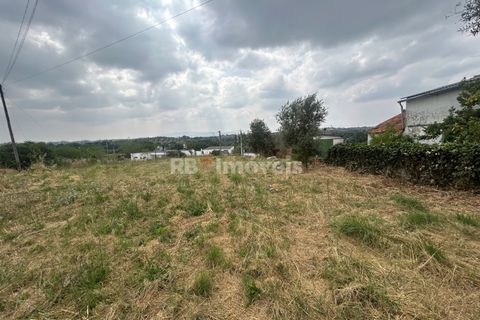 Helårsgrund i Tomar, Santarem, Tomar - € 45.000 | Ref: 01550-25 - foto 14