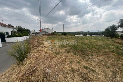 Helårsgrund i Tomar, Santarem, Tomar - € 45.000 | Ref: 01550-25 - foto 15