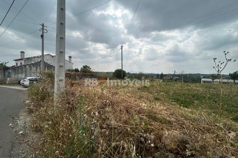Helårsgrund i Tomar, Santarem, Tomar - € 45.000 | Ref: 01550-25 - foto 16