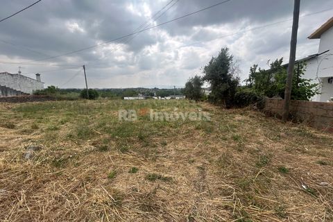 Helårsgrund i Tomar, Santarem, Tomar - € 45.000 | Ref: 01550-25 - foto 17